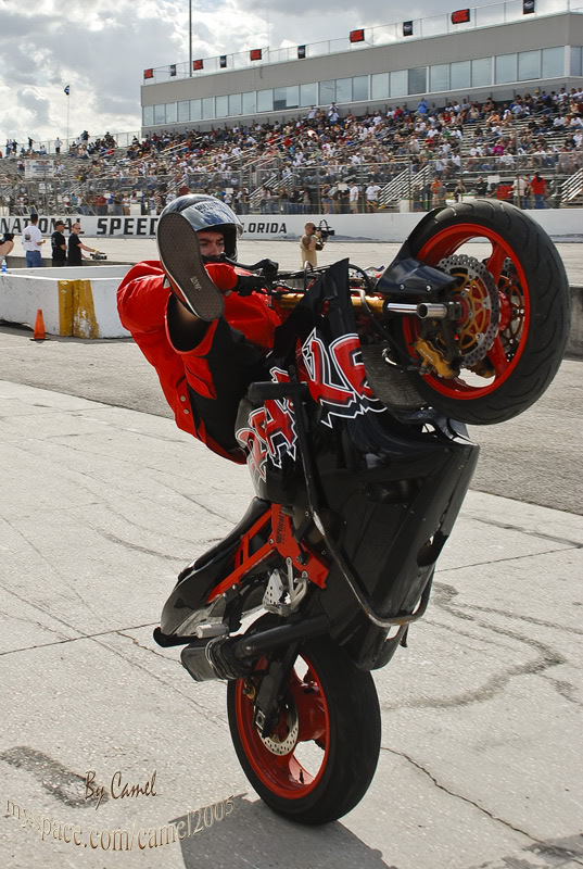 Name:  Stuntwars2008308.jpg
Views: 12
Size:  171.2 KB