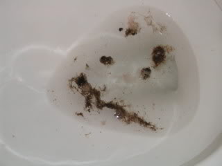 Name:  Picture136.jpg
Views: 9
Size:  7.7 KB