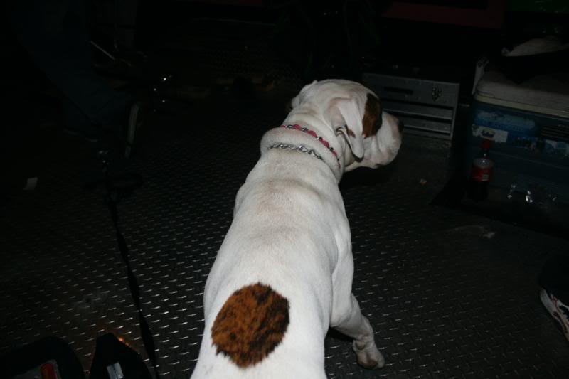Name: IMG_1212.jpg
Views: 15
Size: 31.3 KB