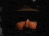 Name:  indianajones25ga6ih.gif
Views: 12
Size:  147.9 KB