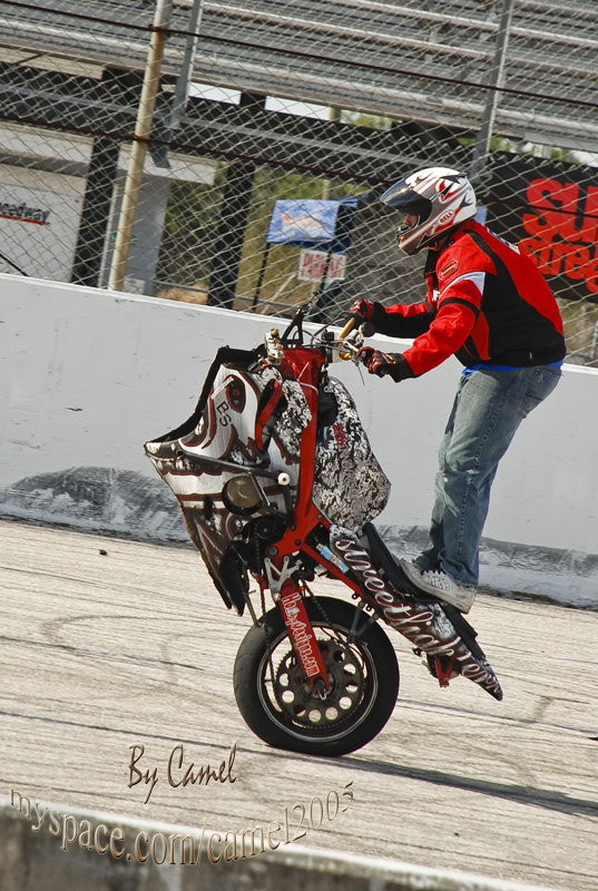 Name:  Stuntwars2008001.jpg
Views: 131
Size:  184.1 KB