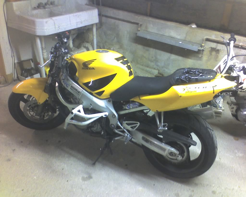 Name:  Stunted.jpg
Views: 11
Size:  93.1 KB