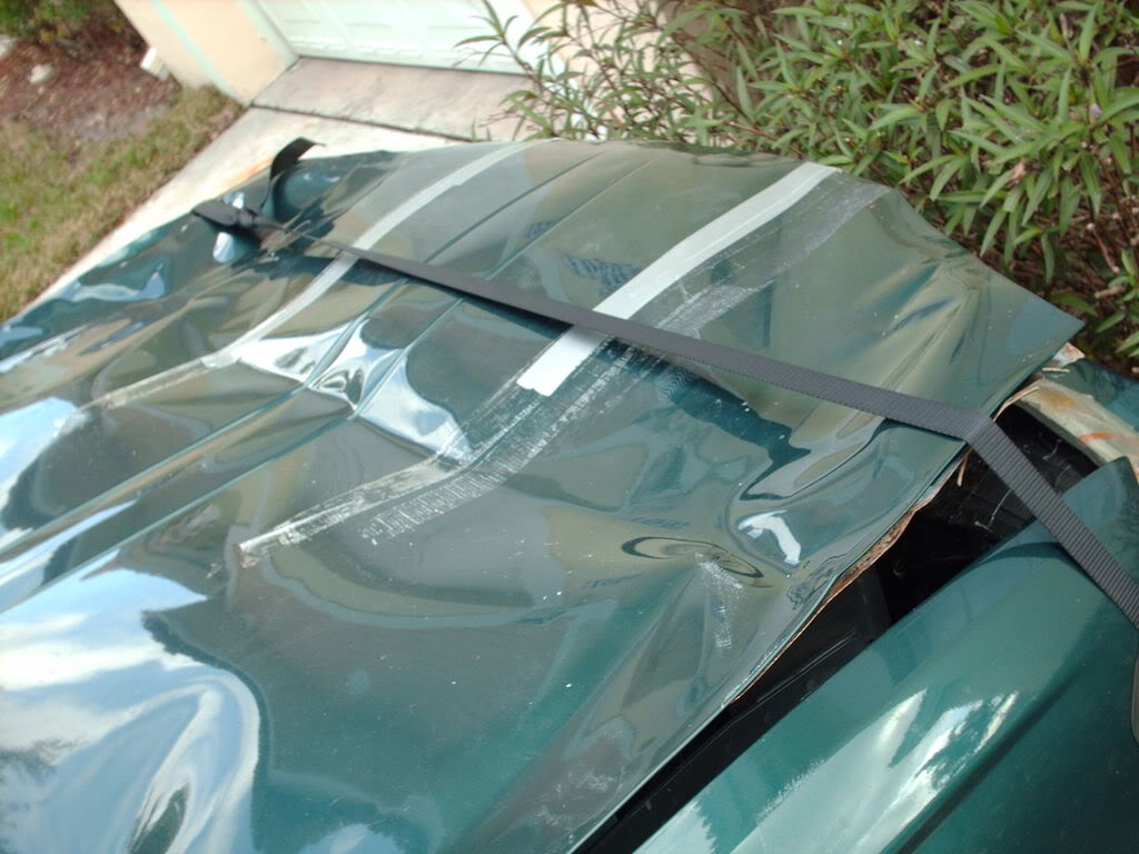 Name:  brandonscar003.jpg
Views: 9
Size:  115.9 KB