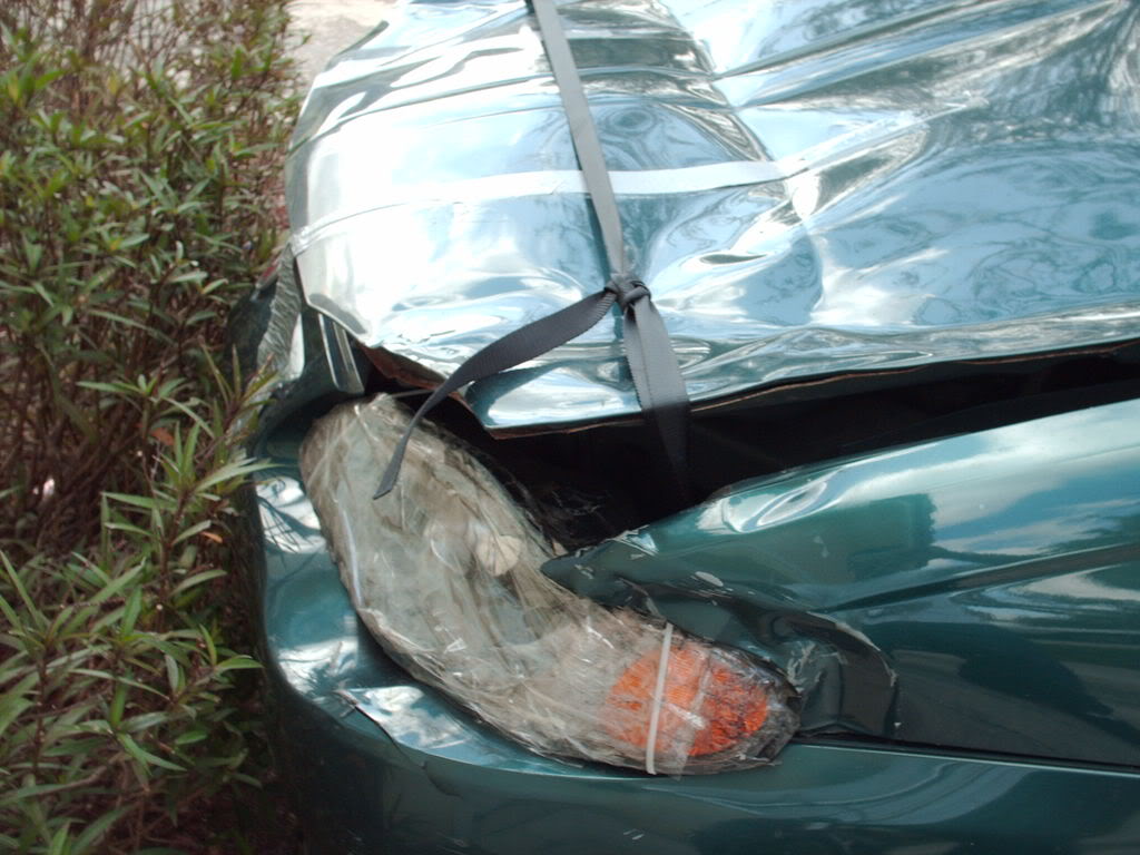 Name:  brandonscar004.jpg
Views: 7
Size:  125.0 KB