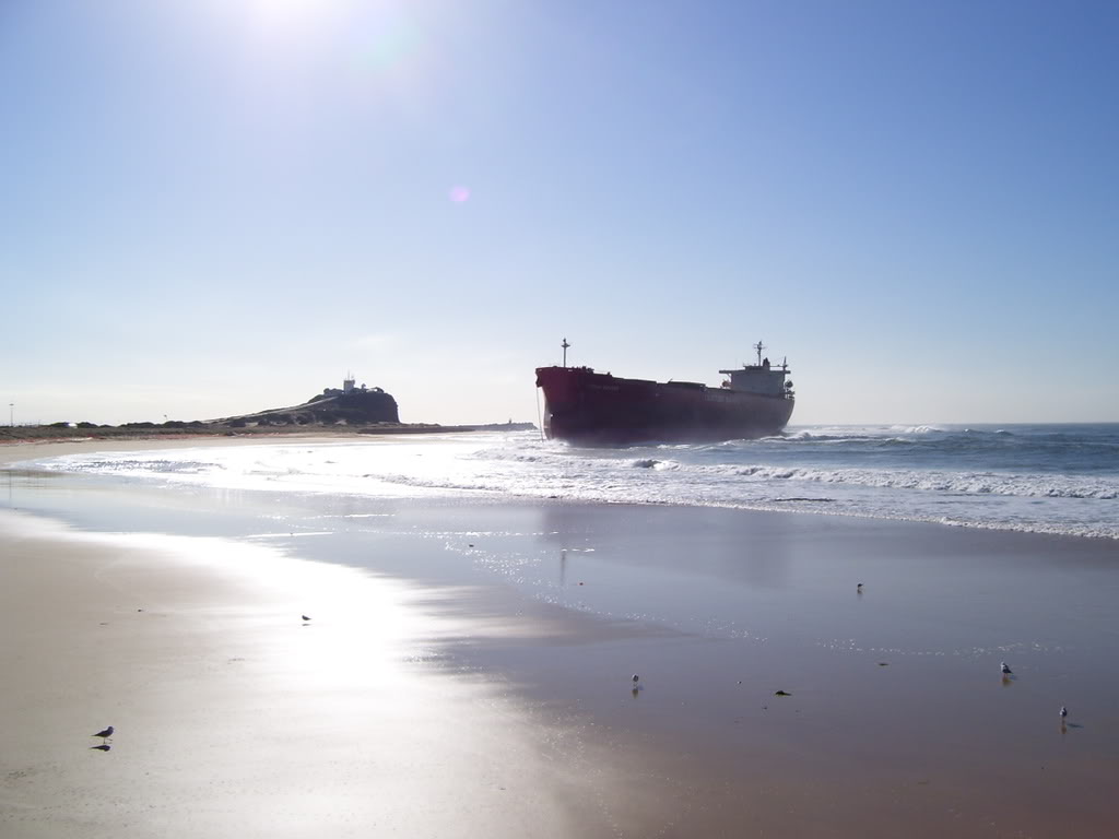 Name:  100_0463.jpg
Views: 10
Size:  57.8 KB