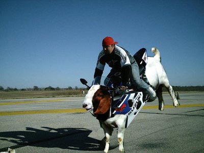 Name:  bikescopy.jpg
Views: 10
Size:  31.6 KB