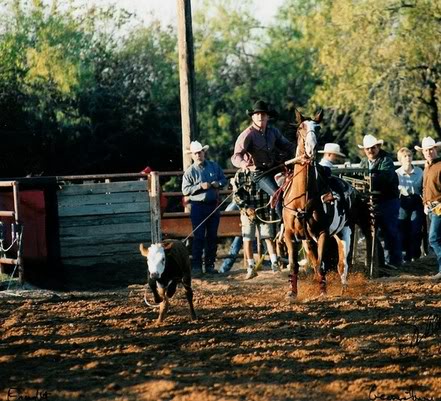 Name:  bikes119.jpg
Views: 12
Size:  61.4 KB