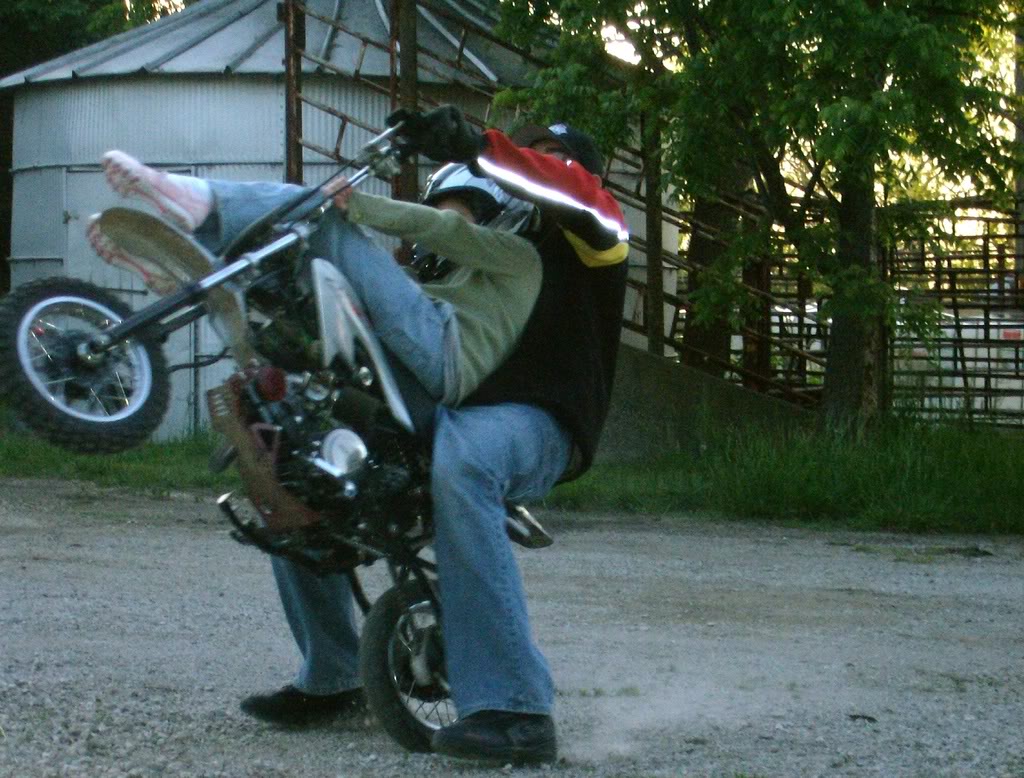 Name:  Kayla-rides-tandem-highchair-circle.jpg
Views: 9
Size:  170.3 KB