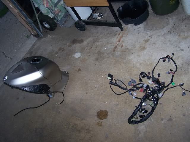 Name:  000_0014.jpg
Views: 8
Size:  57.5 KB