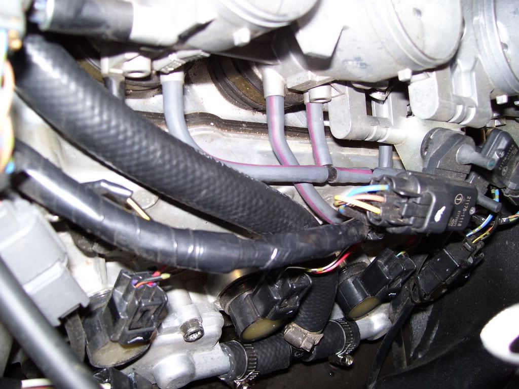 Name:  100_0550.jpg
Views: 260
Size:  138.5 KB