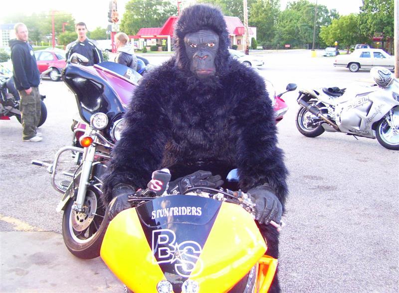 Name:  monkeyfrontMedium.jpg
Views: 11
Size:  94.9 KB