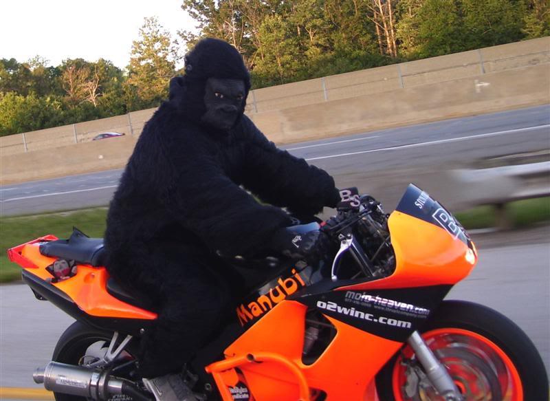 Name:  monkeyridingMedium.jpg
Views: 8
Size:  65.9 KB