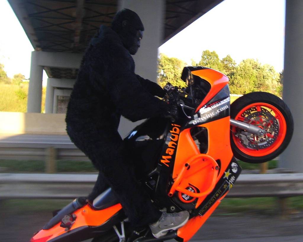 Name:  monkeywheelie.jpg
Views: 8
Size:  75.2 KB