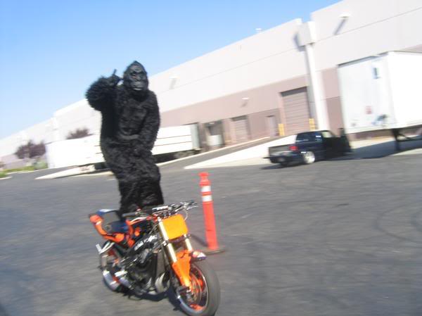 Name:  l_4d6dc4cccf45d2185e12d19a491de9aa.jpg
Views: 8
Size:  26.5 KB