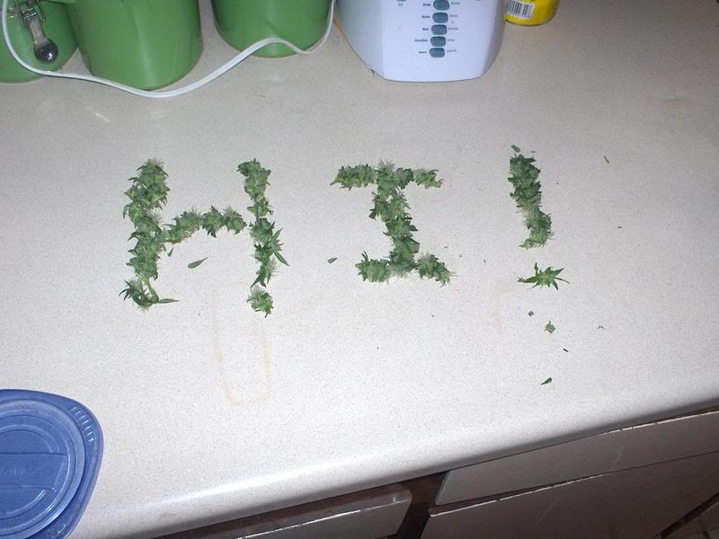 Name:  green.jpg
Views: 6
Size:  58.9 KB