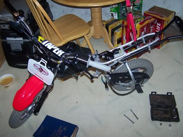 Name:  100_0523.jpg
Views: 7
Size:  74.7 KB