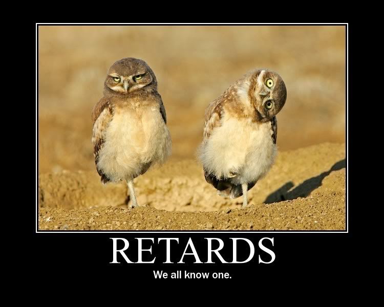 Name:  retardbirds.jpg
Views: 11
Size:  58.0 KB