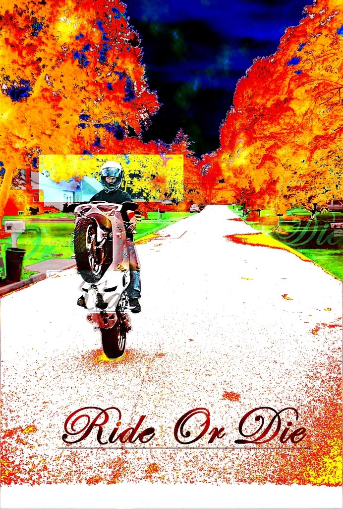 Name:  whack1.jpg
Views: 8
Size:  268.6 KB