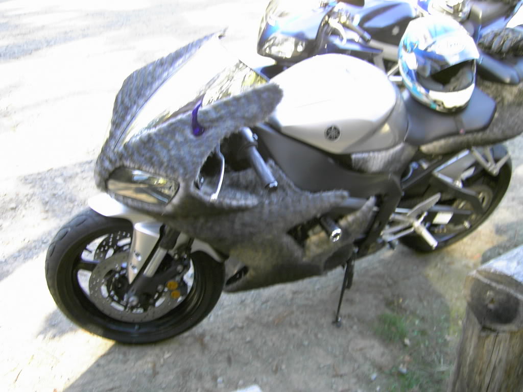 Name:  PICT0017.jpg
Views: 12
Size:  110.6 KB