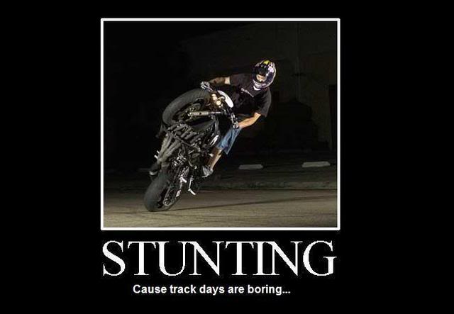 Name:  STUNTPOSTER.jpg
Views: 10
Size:  22.3 KB
