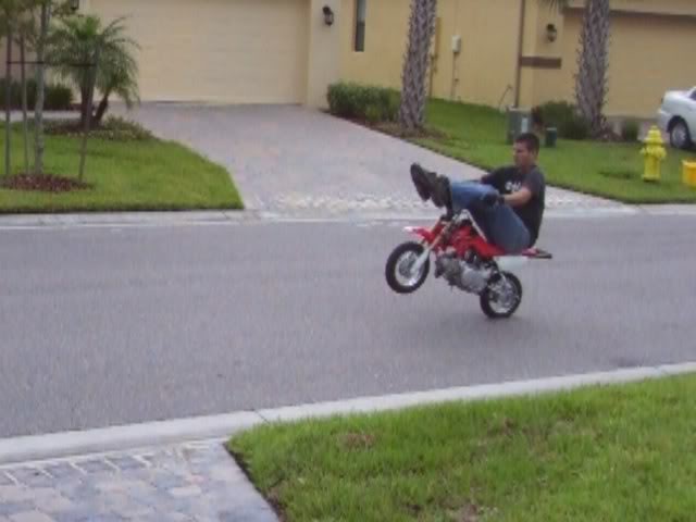 Name:  highchairpractice2.jpg
Views: 10
Size:  31.4 KB