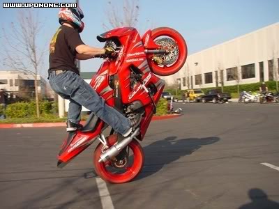 Name:  dariusred.jpg
Views: 30
Size:  31.8 KB