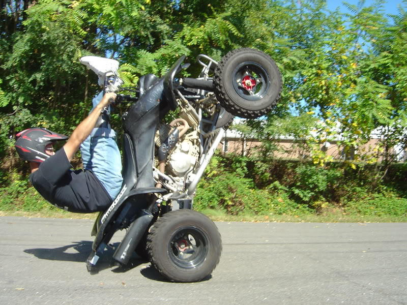 Name:  mfistuntshow006.jpg
Views: 13
Size:  161.9 KB
