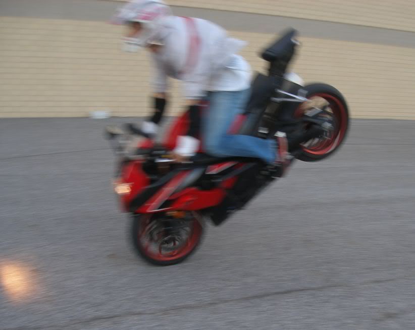 Name:  stunt7.jpg
Views: 9
Size:  44.0 KB