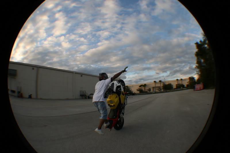 Name:  fisheye195.jpg
Views: 5
Size:  42.9 KB
