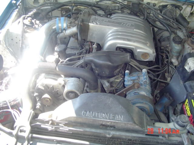 Name: DSC00271-1.jpg
Views: 7
Size: 59.7 KB