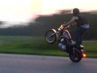 Name:  billystandup.jpg
Views: 1926
Size:  8.2 KB