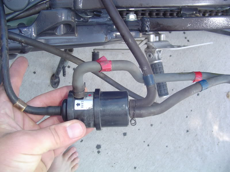 Name:  DSC01133.jpg
Views: 346
Size:  72.9 KB