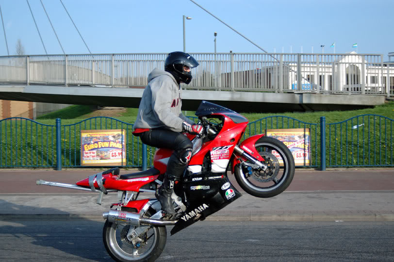 Name:  DSC_1831.jpg
Views: 13
Size:  90.1 KB