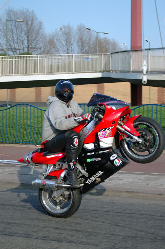 Name:  DSC_1829.jpg
Views: 12
Size:  81.1 KB