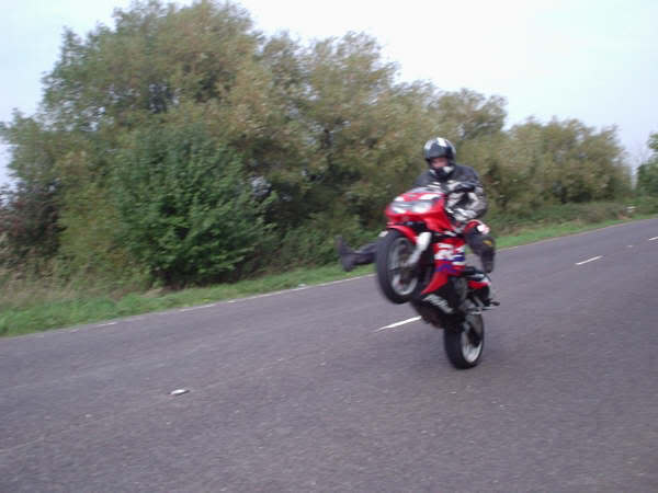 Name:  P1010003.jpg
Views: 10
Size:  28.9 KB