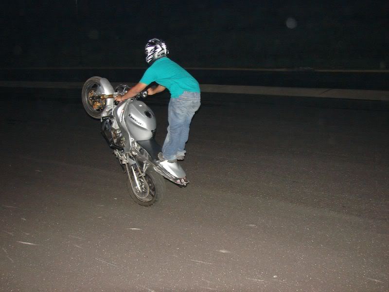 Name:  DSC01289800x600.jpg
Views: 7
Size:  47.0 KB