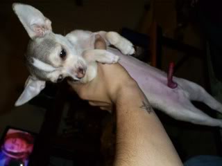 Name:  S5030848.jpg
Views: 7
Size:  50.1 KB