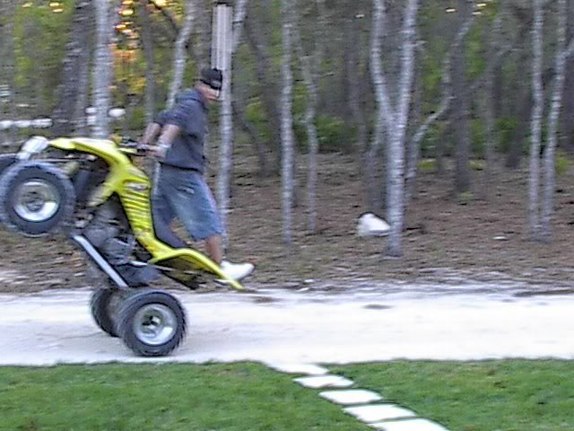 Name:  IM003203-1.jpg
Views: 49
Size:  59.7 KB