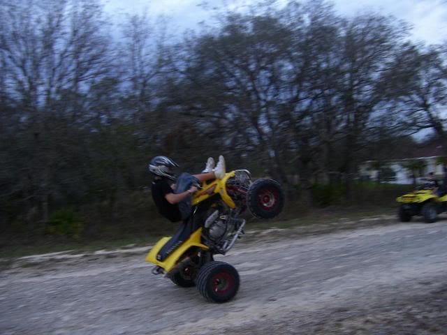 Name:  100_1313-1.jpg
Views: 100
Size:  47.6 KB