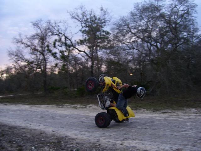 Name:  100_1311-1.jpg
Views: 55
Size:  54.0 KB