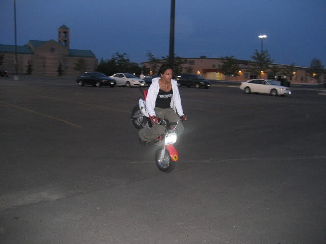 Name:  IMG_4874.jpg
Views: 20
Size:  31.8 KB
