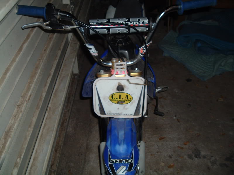 Name:  pups3-12-07030.jpg
Views: 7
Size:  62.6 KB