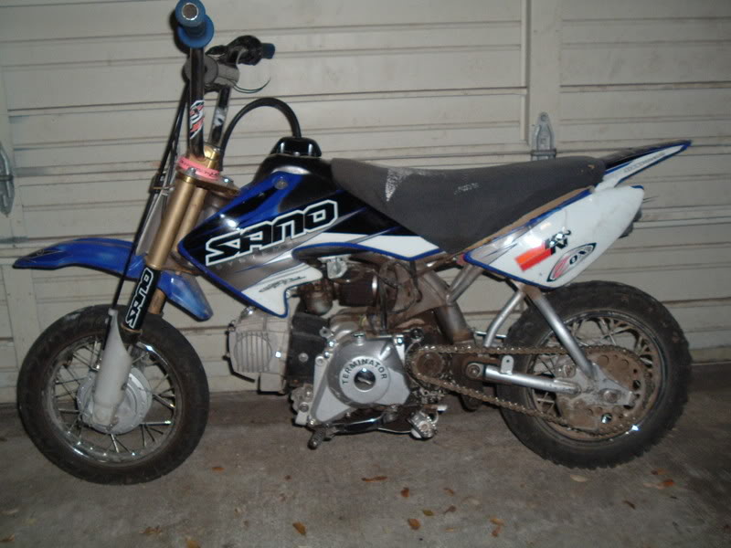 Name:  pups3-12-07029.jpg
Views: 9
Size:  72.8 KB