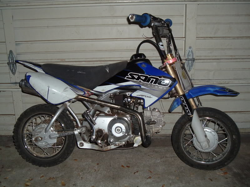 Name:  pups3-12-07028.jpg
Views: 9
Size:  93.2 KB