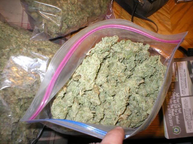 Name:  P1010088.jpg
Views: 7
Size:  61.0 KB