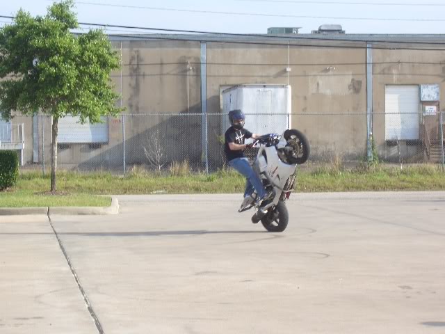 Name:  CIMG1838.jpg
Views: 9
Size:  81.7 KB