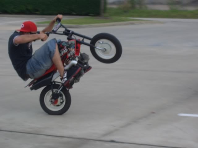 Name:  CIMG1916.jpg
Views: 14
Size:  43.6 KB