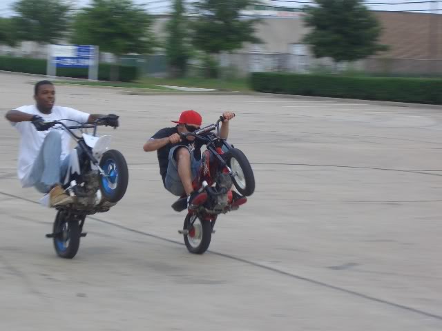 Name:  CIMG1918.jpg
Views: 10
Size:  62.8 KB