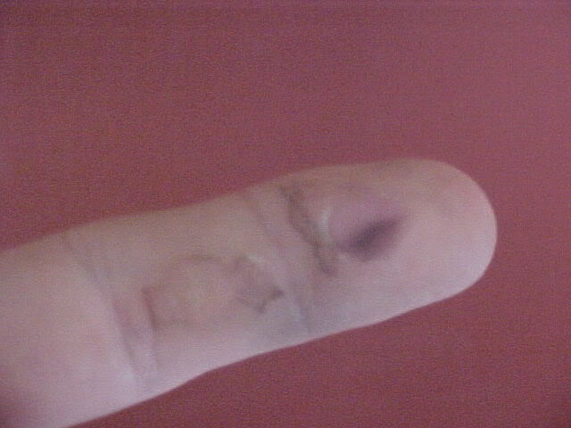 Name:  MVC-083F.jpg
Views: 6
Size:  31.8 KB