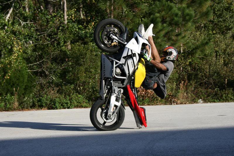 Name:  11-26-06027.jpg
Views: 8
Size:  95.1 KB